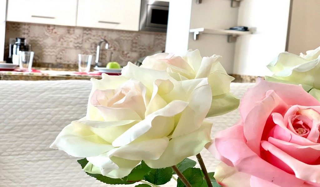 Apartamento en el centro de nerja (50)